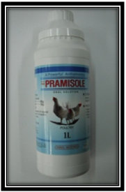HP-PRAMIZOLE Sol.  Made in Korea